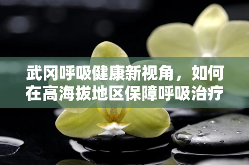 武冈呼吸健康新视角，如何在高海拔地区保障呼吸治疗的有效性？