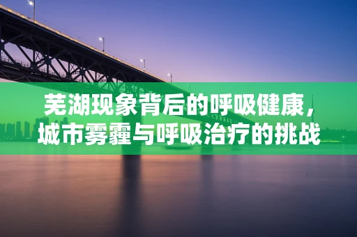 芜湖现象背后的呼吸健康，城市雾霾与呼吸治疗的挑战