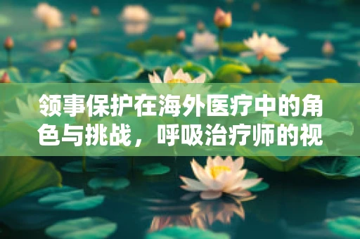领事保护在海外医疗中的角色与挑战，呼吸治疗师的视角