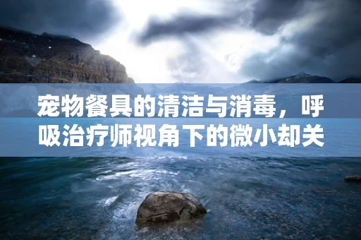 宠物餐具的清洁与消毒，呼吸治疗师视角下的微小却关键的卫生考量