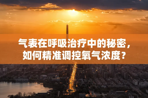 气表在呼吸治疗中的秘密，如何精准调控氧气浓度？