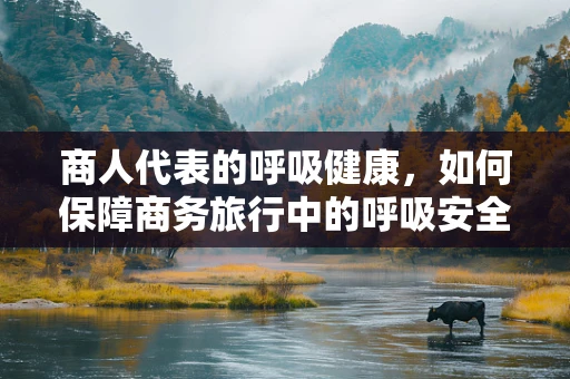 商人代表的呼吸健康，如何保障商务旅行中的呼吸安全？