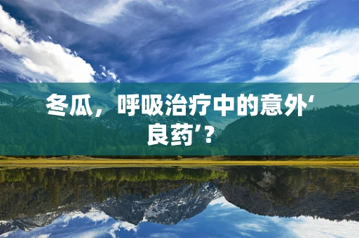 冬瓜，呼吸治疗中的意外‘良药’？
