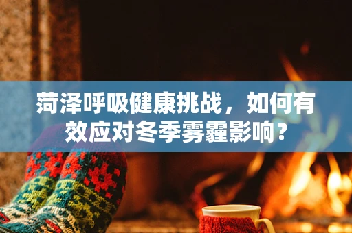 菏泽呼吸健康挑战，如何有效应对冬季雾霾影响？