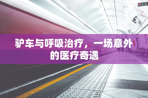 驴车与呼吸治疗，一场意外的医疗奇遇