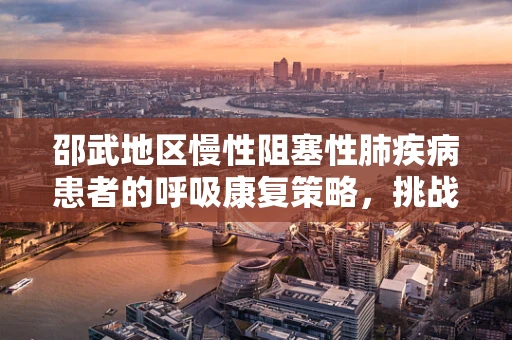 邵武地区慢性阻塞性肺疾病患者的呼吸康复策略，挑战与对策