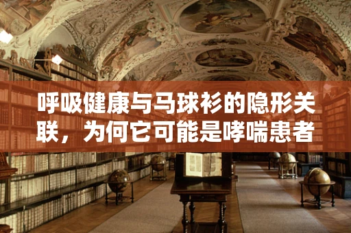 呼吸健康与马球衫的隐形关联，为何它可能是哮喘患者的智慧选择？