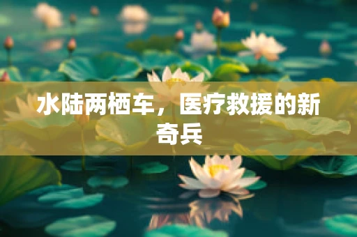 水陆两栖车，医疗救援的新奇兵