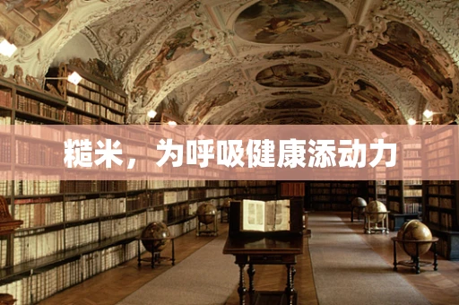 糙米，为呼吸健康添动力