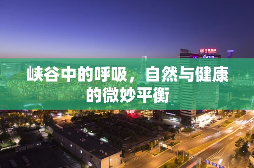 峡谷中的呼吸，自然与健康的微妙平衡