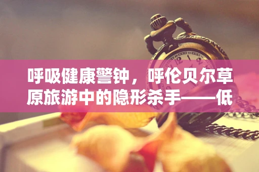 呼吸健康警钟，呼伦贝尔草原旅游中的隐形杀手——低氧环境与呼吸防护