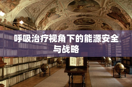 呼吸治疗视角下的能源安全与战略