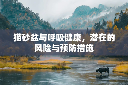 猫砂盆与呼吸健康，潜在的风险与预防措施