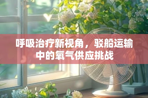 呼吸治疗新视角，驳船运输中的氧气供应挑战
