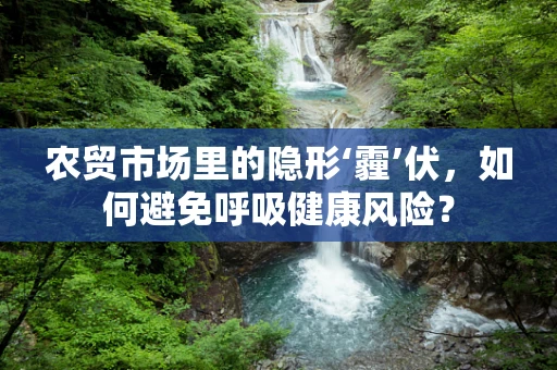 农贸市场里的隐形‘霾’伏，如何避免呼吸健康风险？
