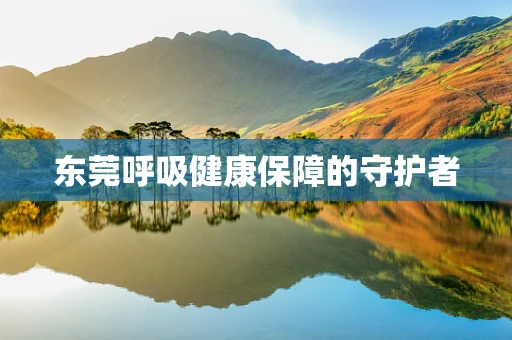 东莞呼吸健康保障的守护者