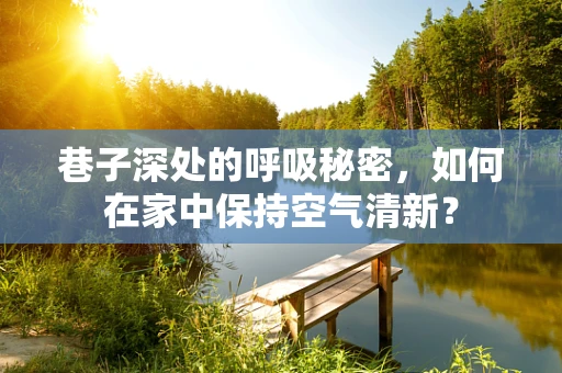 巷子深处的呼吸秘密，如何在家中保持空气清新？