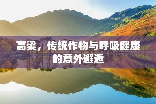 高粱，传统作物与呼吸健康的意外邂逅