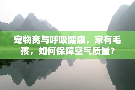 宠物窝与呼吸健康，家有毛孩，如何保障空气质量？