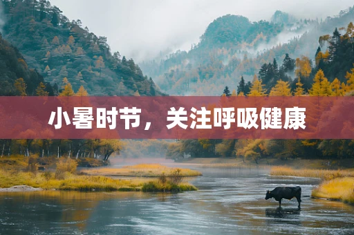 小暑时节，关注呼吸健康