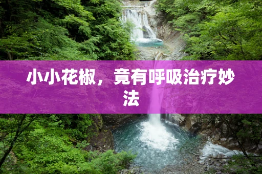 小小花椒，竟有呼吸治疗妙法