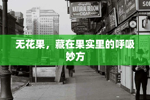 无花果，藏在果实里的呼吸妙方