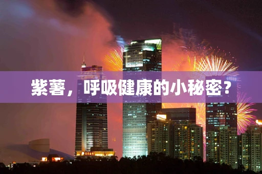 紫薯，呼吸健康的小秘密？