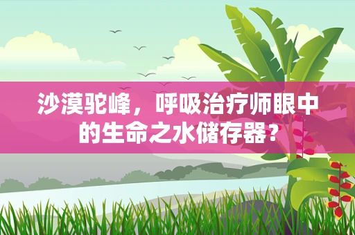 沙漠驼峰，呼吸治疗师眼中的生命之水储存器？