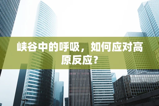 峡谷中的呼吸，如何应对高原反应？