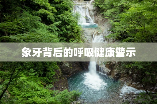 象牙背后的呼吸健康警示