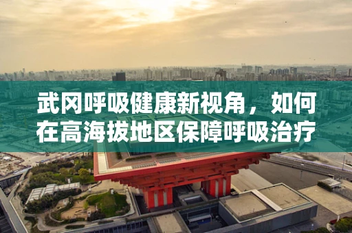 武冈呼吸健康新视角，如何在高海拔地区保障呼吸治疗的有效性？