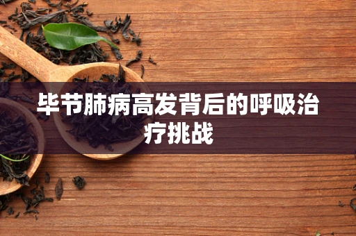 毕节肺病高发背后的呼吸治疗挑战