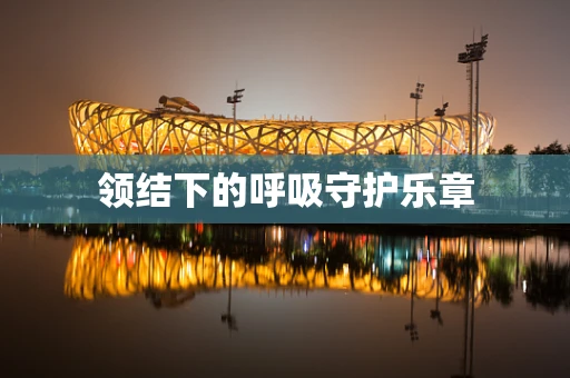 领结下的呼吸守护乐章