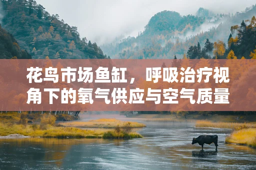 花鸟市场鱼缸，呼吸治疗视角下的氧气供应与空气质量考量
