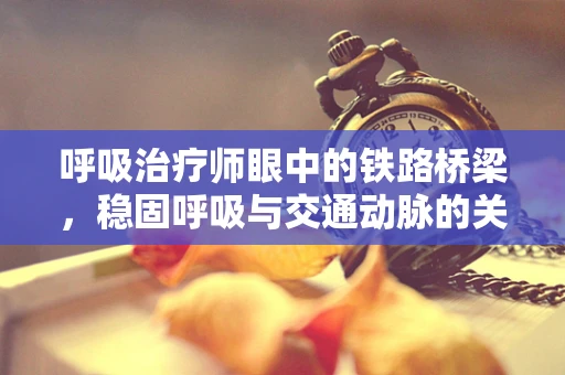 呼吸治疗师眼中的铁路桥梁，稳固呼吸与交通动脉的关联