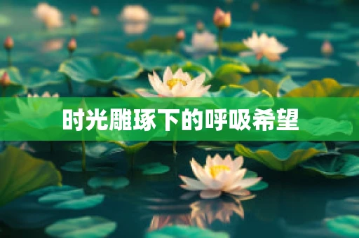 时光雕琢下的呼吸希望