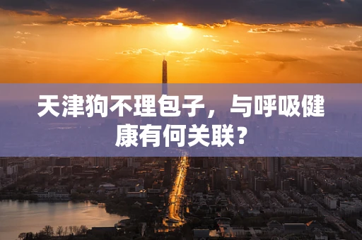 天津狗不理包子，与呼吸健康有何关联？