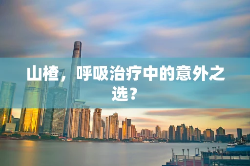 山楂，呼吸治疗中的意外之选？