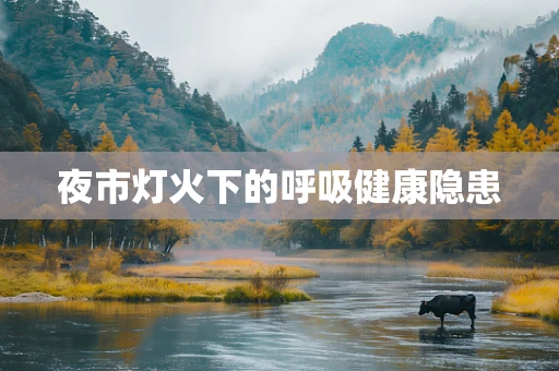 夜市灯火下的呼吸健康隐患