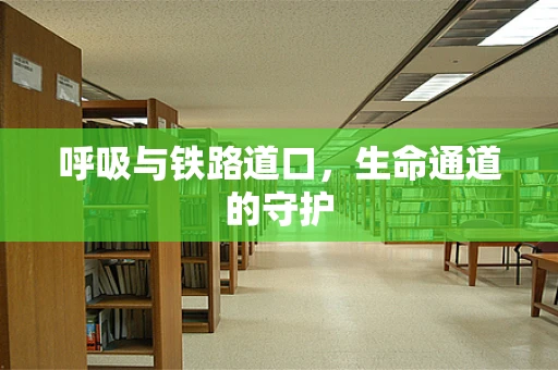 呼吸与铁路道口，生命通道的守护