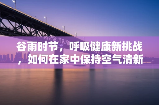 谷雨时节，呼吸健康新挑战，如何在家中保持空气清新？