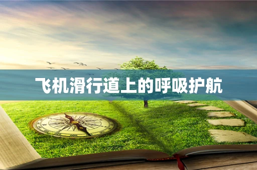 飞机滑行道上的呼吸护航