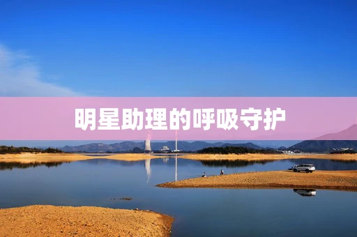 明星助理的呼吸守护