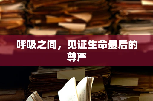 呼吸之间，见证生命最后的尊严