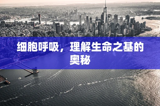 细胞呼吸，理解生命之基的奥秘