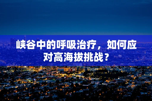 峡谷中的呼吸治疗，如何应对高海拔挑战？