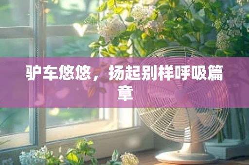 驴车悠悠，扬起别样呼吸篇章