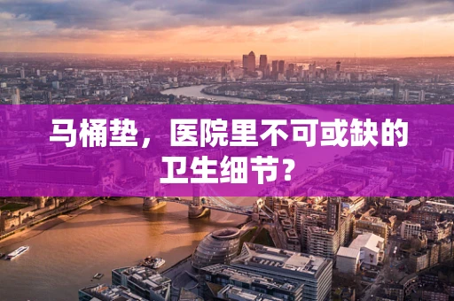 马桶垫，医院里不可或缺的卫生细节？