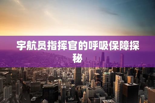 宇航员指挥官的呼吸保障探秘