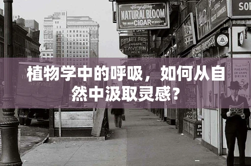植物学中的呼吸，如何从自然中汲取灵感？